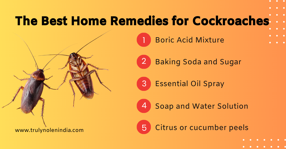 Effective Ways to Get Rid of Roaches