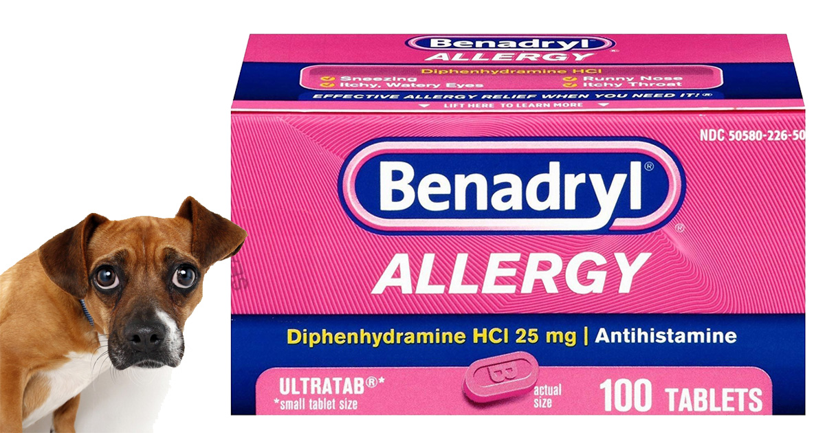 Tips for Benadryl dosage in dogs