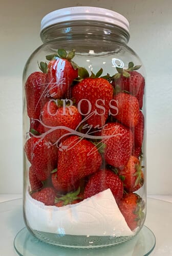 how to keep strawberries fresh